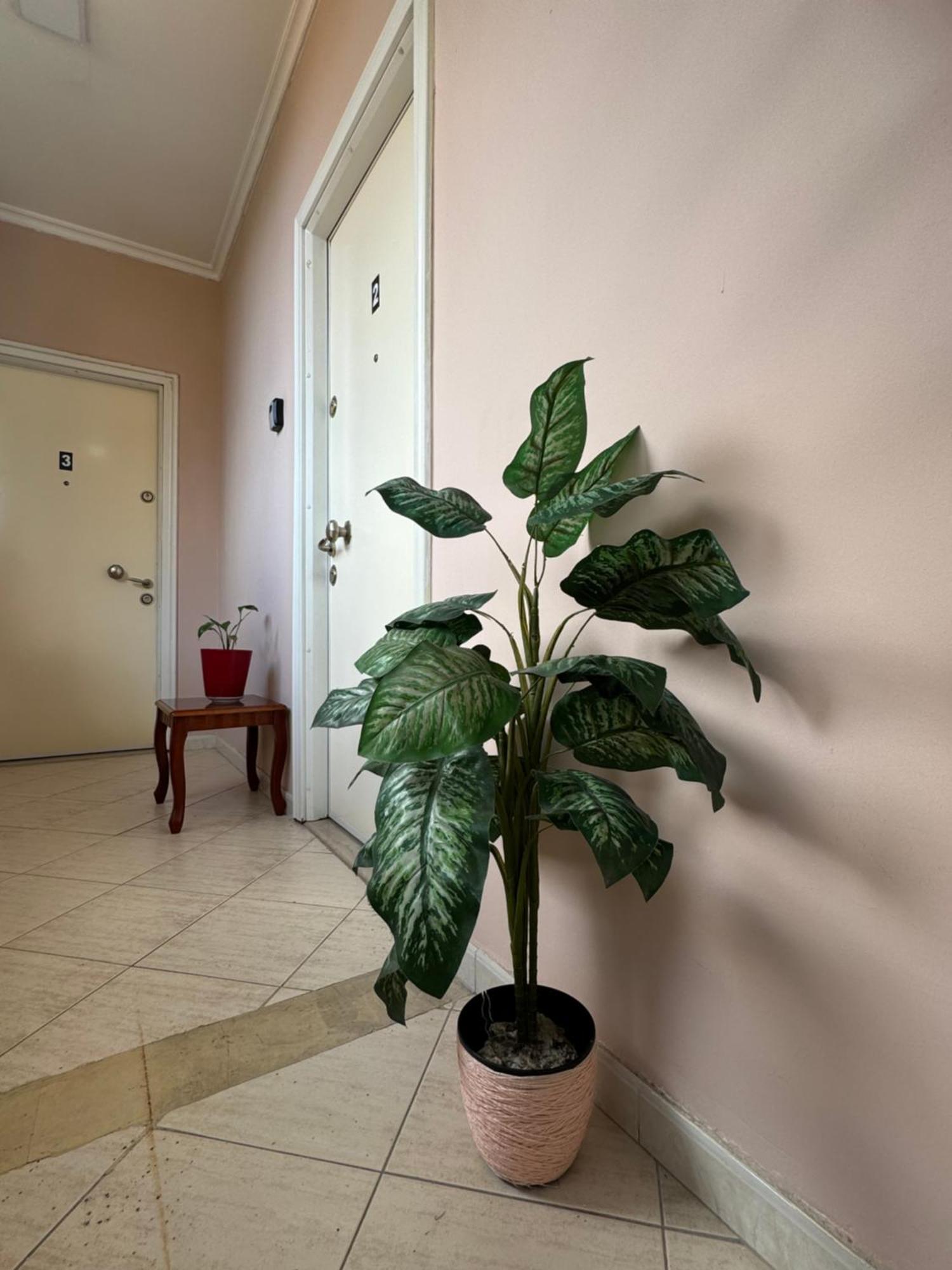 Mirela'S Apartment City Center 地拉那 外观 照片